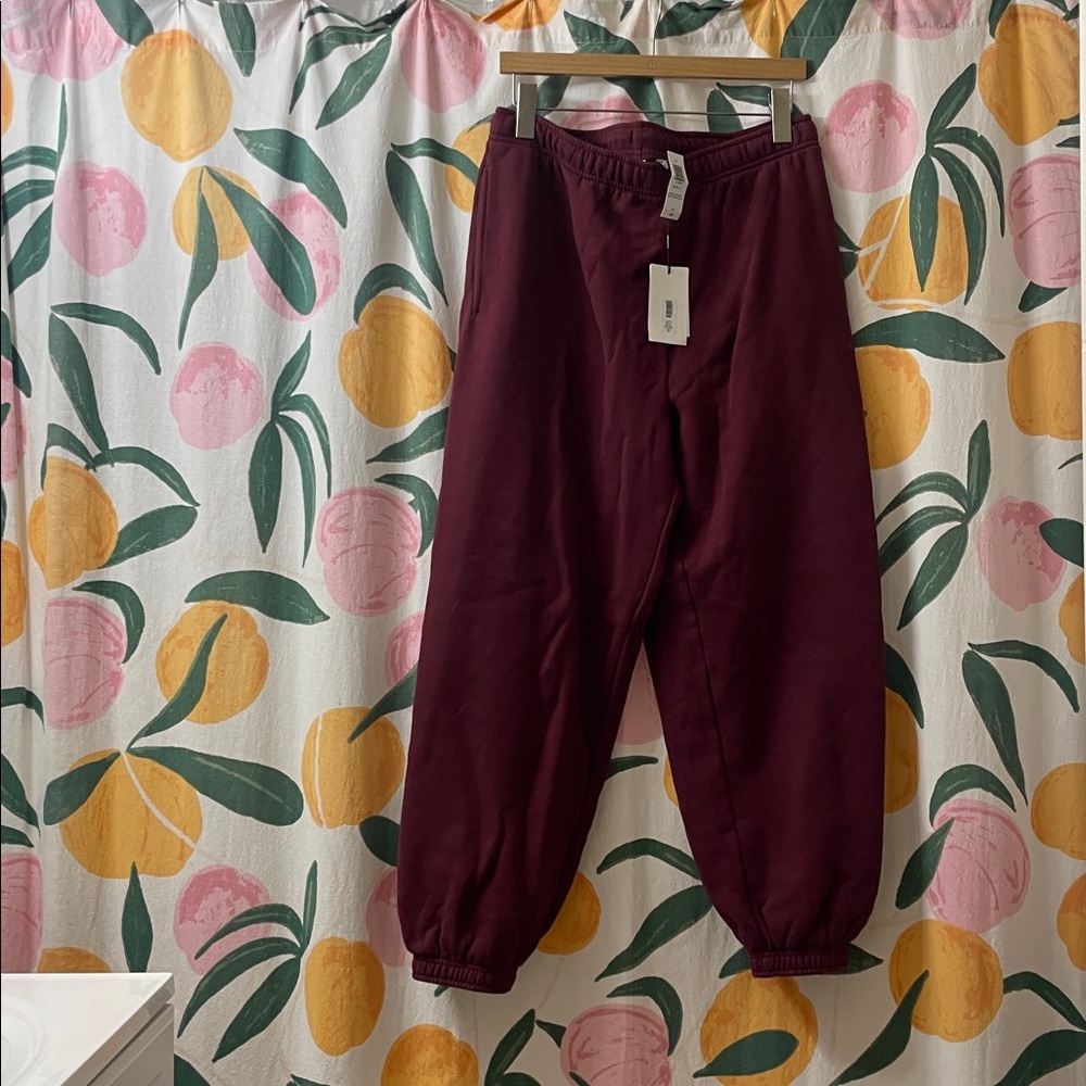 NWT Aritzia Jogger Pants